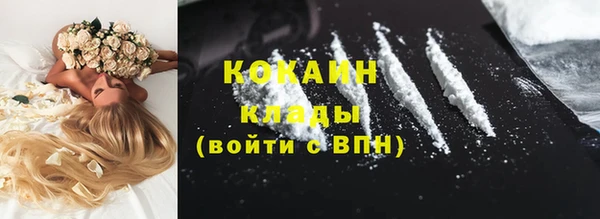 ГАЛЛЮЦИНОГЕННЫЕ ГРИБЫ Абаза