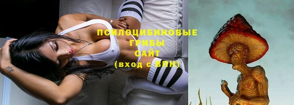 ешки Абинск