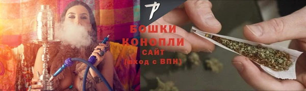 ГАЛЛЮЦИНОГЕННЫЕ ГРИБЫ Абаза