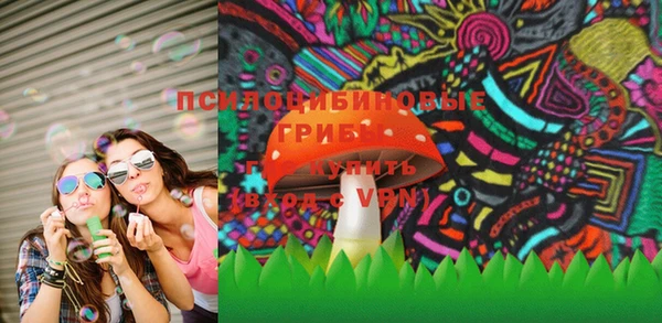 ГАЛЛЮЦИНОГЕННЫЕ ГРИБЫ Абаза